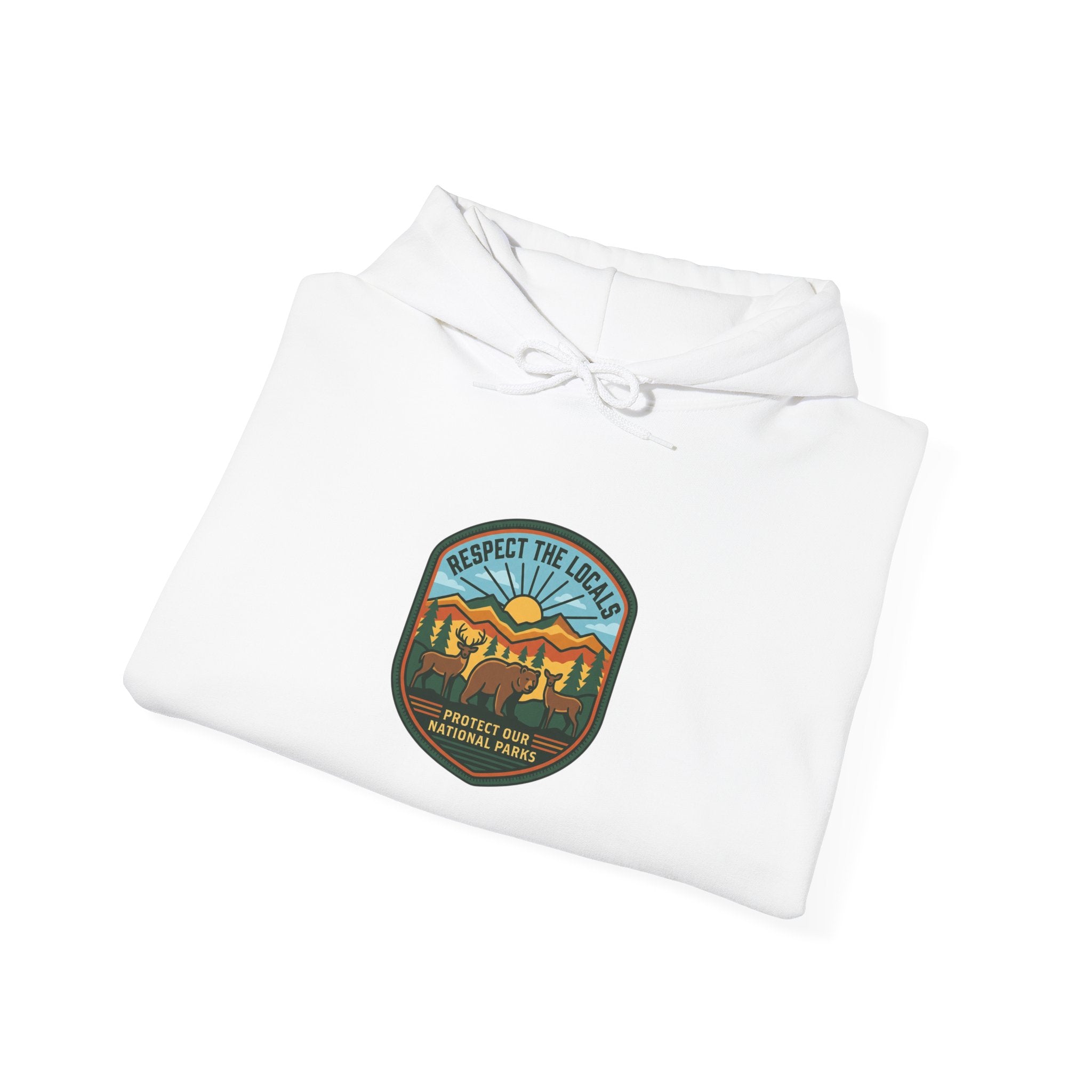 Protect Our Parks hoodie | National Parks vintage souvenir, hiking camping emblem