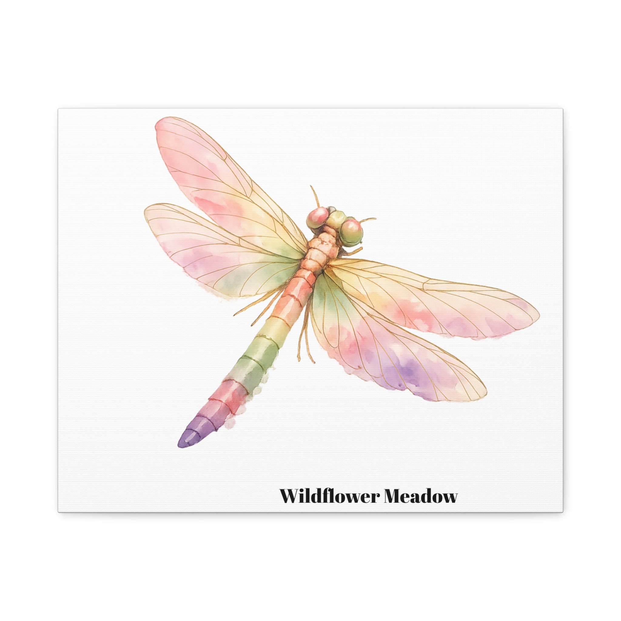 Watercolor Dragonfly Canvas Print – "Wildflower Meadow" Stretched Matte Wall Art