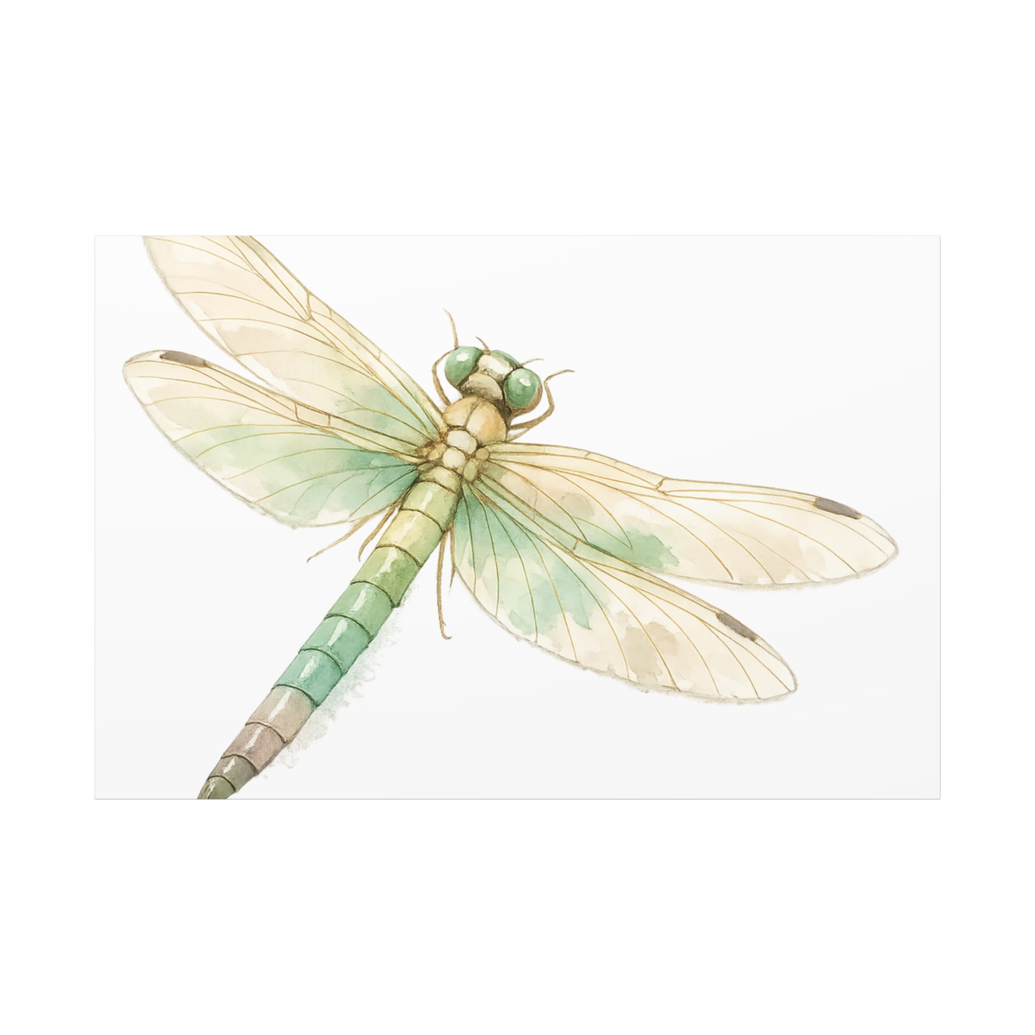 Botanical Dragonfly Canvas Wall Art — Watercolor Insect Print (Matte Stretched)