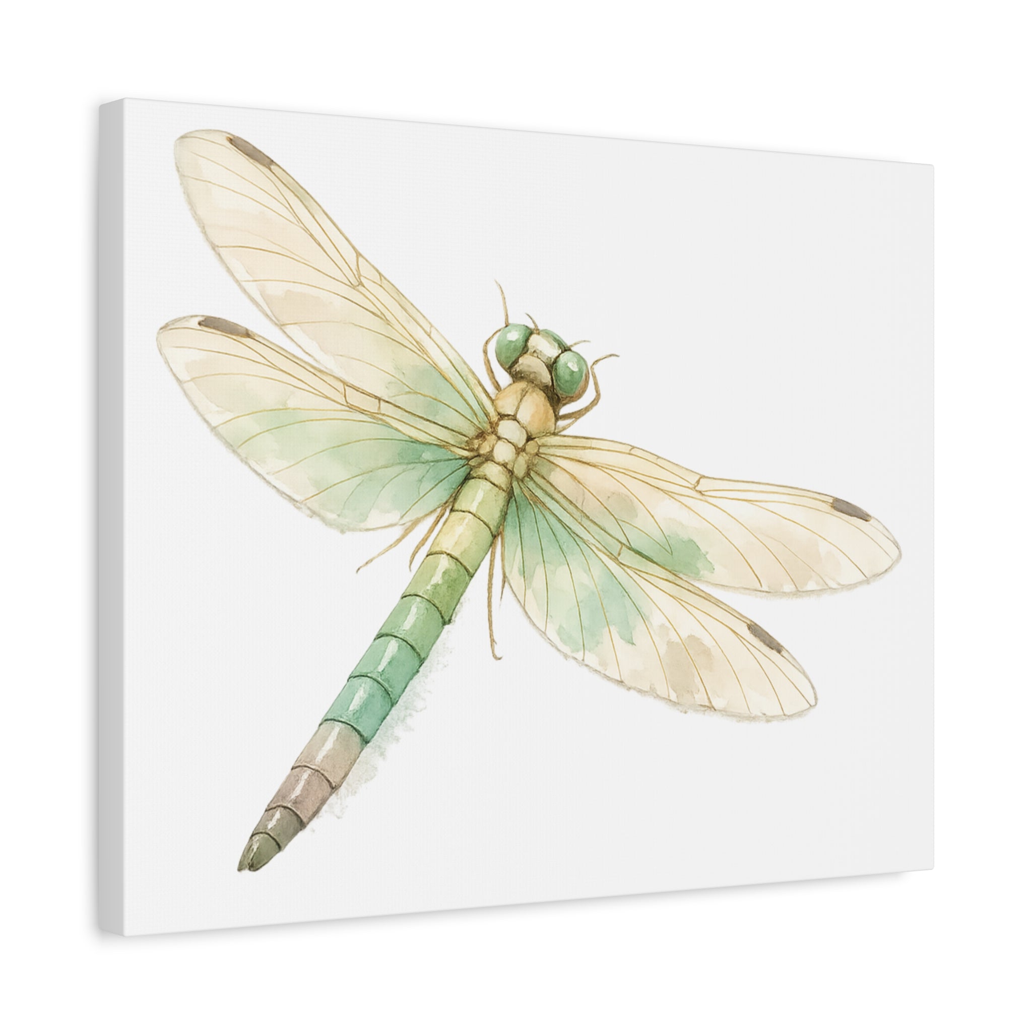 Botanical Dragonfly Canvas Wall Art — Watercolor Insect Print (Matte Stretched)