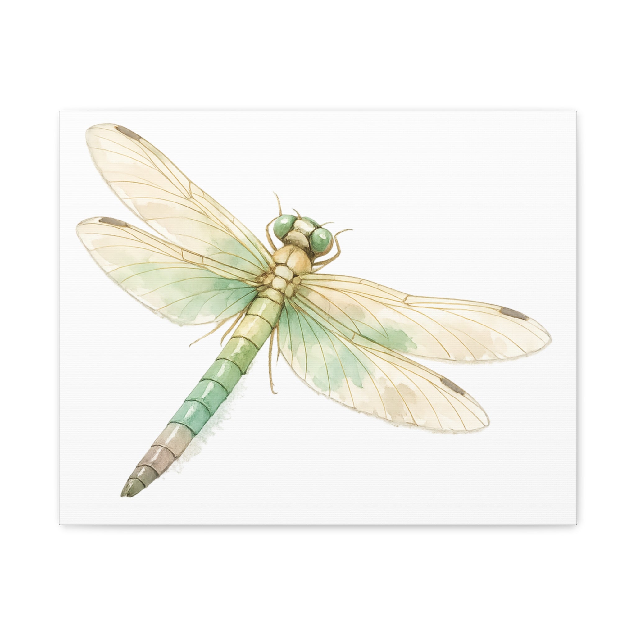 Botanical Dragonfly Canvas Wall Art — Watercolor Insect Print (Matte Stretched)