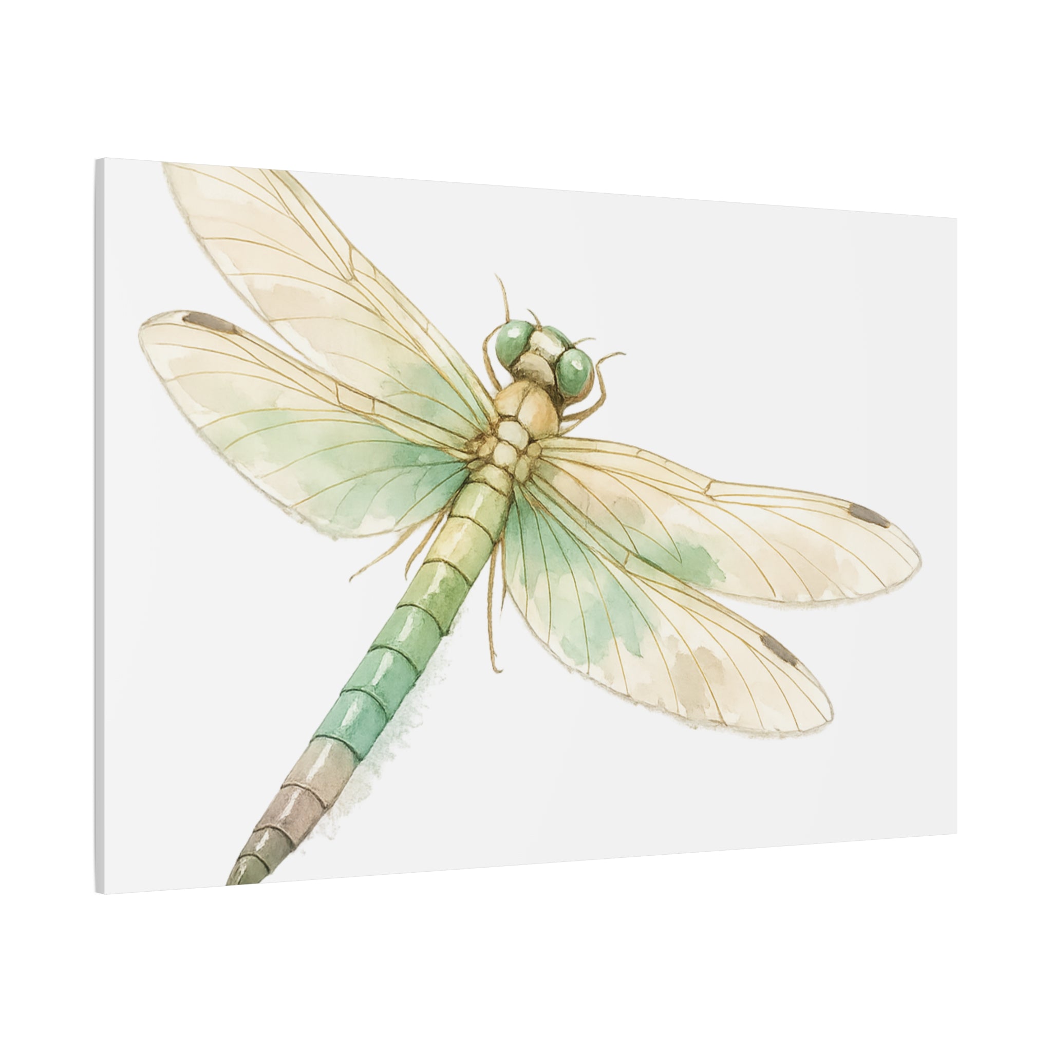Botanical Dragonfly Canvas Wall Art — Watercolor Insect Print (Matte Stretched)