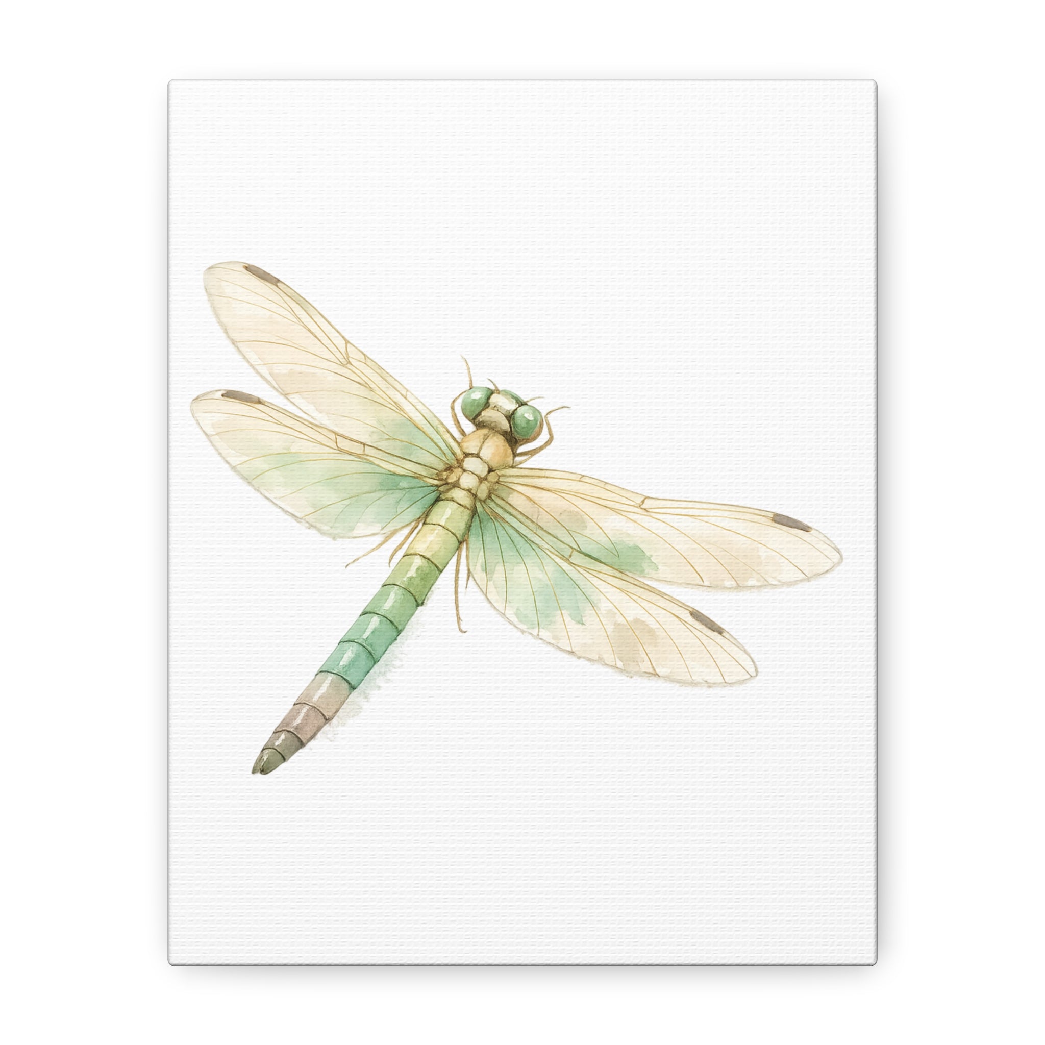 Botanical Dragonfly Canvas Wall Art — Watercolor Insect Print (Matte Stretched)