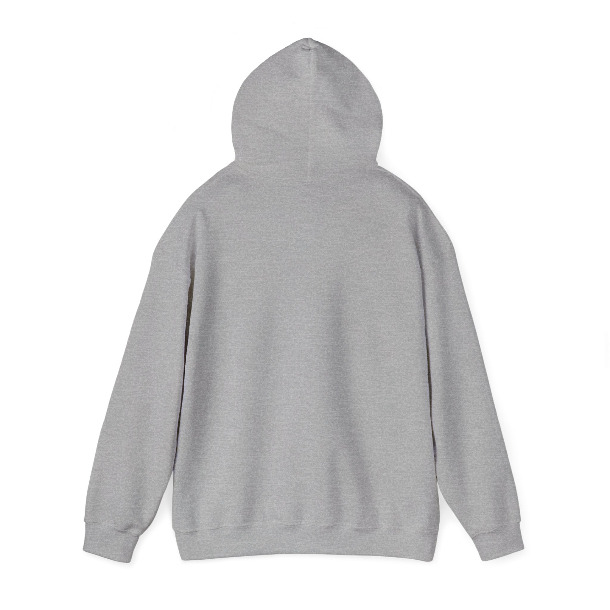 Bias Wrecker On Hoodie | K-pop stan, maknae selca concert style